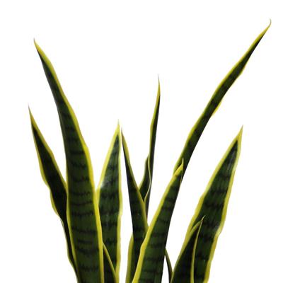 Yapay Snake Paşa Kılıcı 95 cm