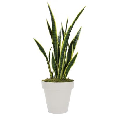 Yapay Snake Paşa Kılıcı 95 cm