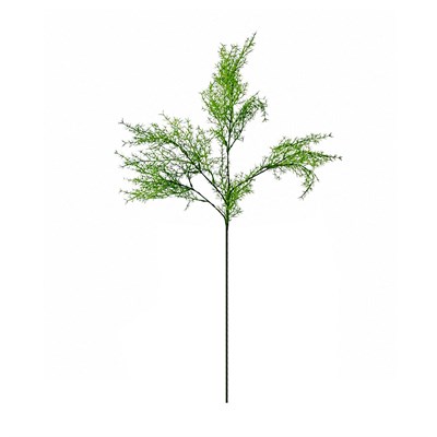 Yapay Sprengeri (Kuşkonmaz) Bitki Yeşil 75 cm