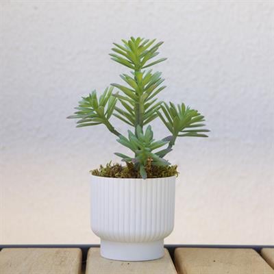 Yapay Sukulent Demeti Açık Yeşil 32 cm