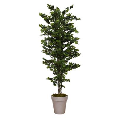 Yapay Taflan Ağacı 170 cm