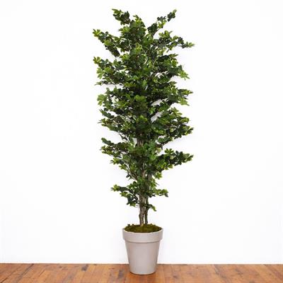 Yapay Taflan Ağacı 170 cm