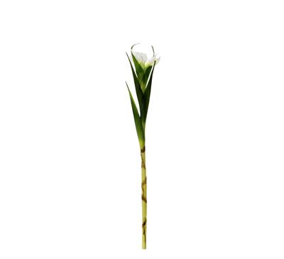 Yapay Tekli Single Eirel Dal 67 cm