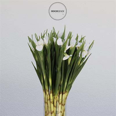 Yapay Tekli Single Eirel Dalı 67 cm