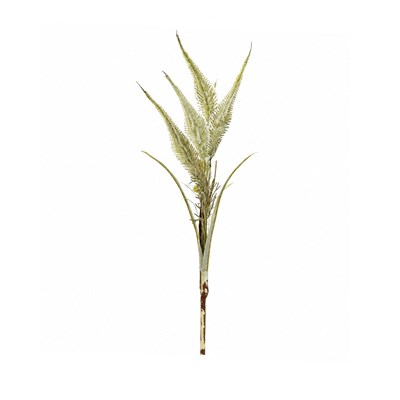 Yapay Tilki Kuyruğu Bitkisi Dal Naturel 50 cm