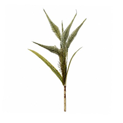 Yapay Tilki Kuyruğu Bitkisi Dal Yeşil 50 cm