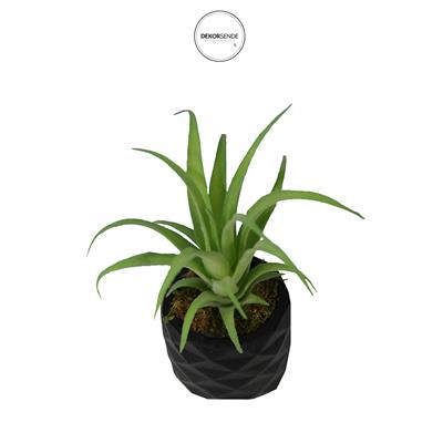 Yapay Tillandsia Sukulent Açık Yeşil 17 cm Saksılı