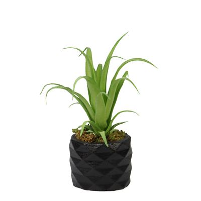 Yapay Tillandsia Sukulent Açık Yeşil 17 cm Saksılı
