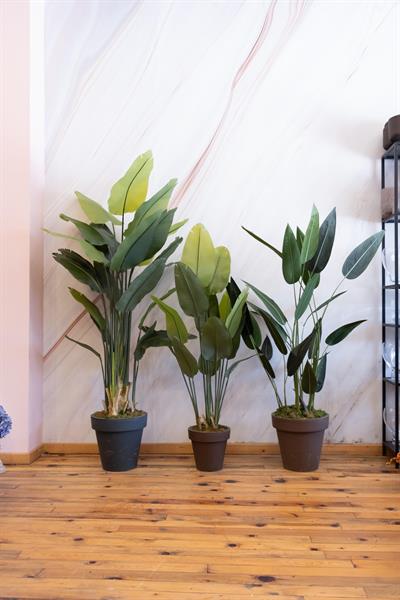 Yapay Tropik Starliçe Ağacı 155 cm