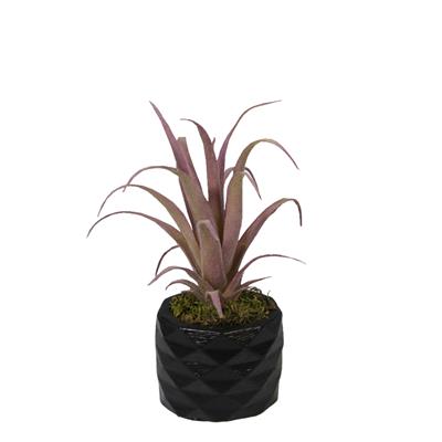 Yapay Tüylü Tillandsia Sukulent Lila 17 cm Saksılı
