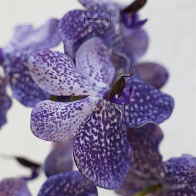 Yapay Vanda Orkide Dal Mor 52 cm