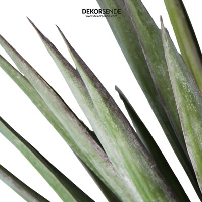 Yapay Yucca Ağaç Açık Yeşil 95 cm