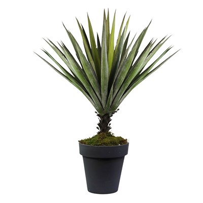 Yapay Yucca Ağaç Açık Yeşil 95 cm