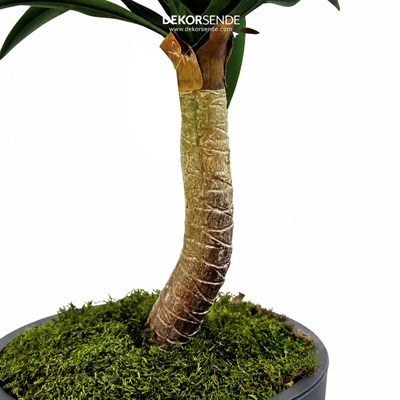 Yapay Yucca Agave Ağaç Yeşil 80 cm