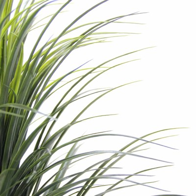 Yapay Yucca Saz Ağaç 110 cm