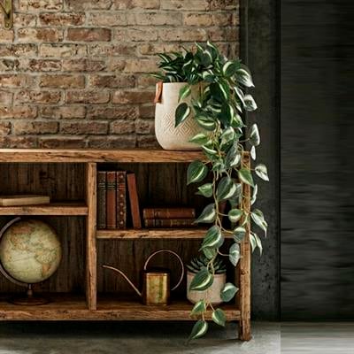 Yapay Zebra Desenli Sarkıt Sarmaşık 95 cm