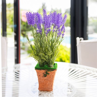 Yosunlu Kare Saksı 25 cm