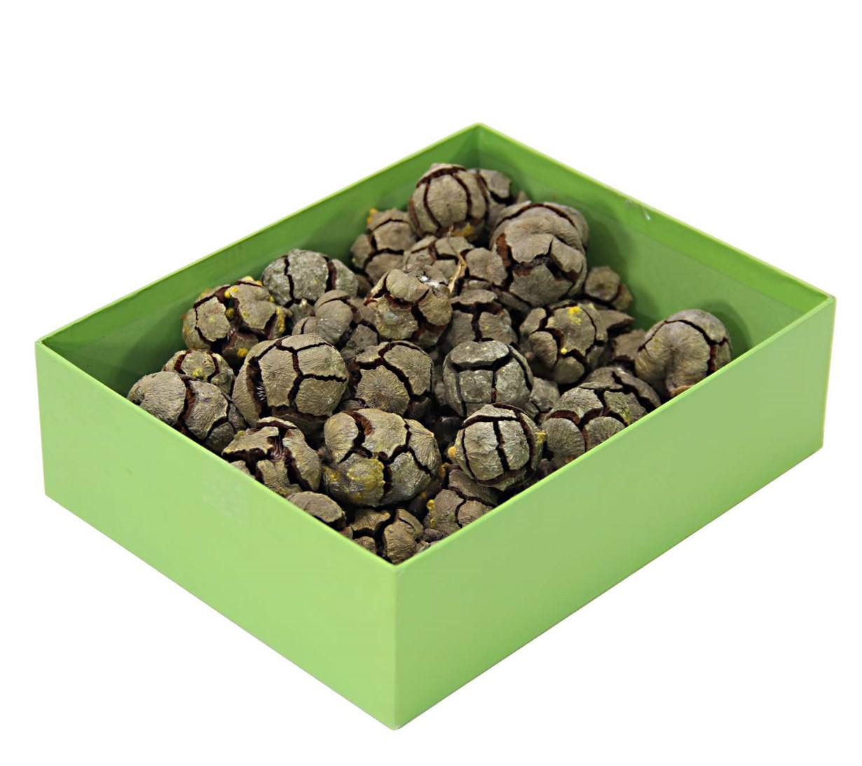 2020 SELVİ KOZASI NATUREL 800GR PAKET - Netodan Gelenler
