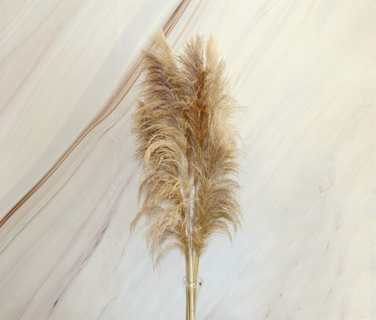 2022*TEK PAMPAS - Netodan Gelenler