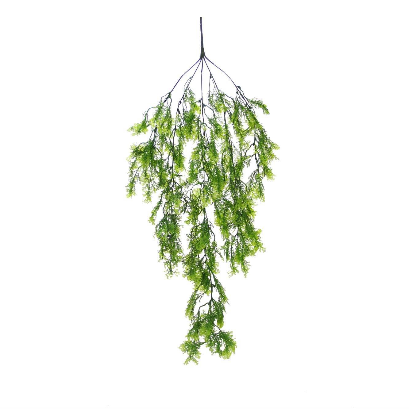 237*SELVİ SARKIT BYL2023125 - Netodan Gelenler