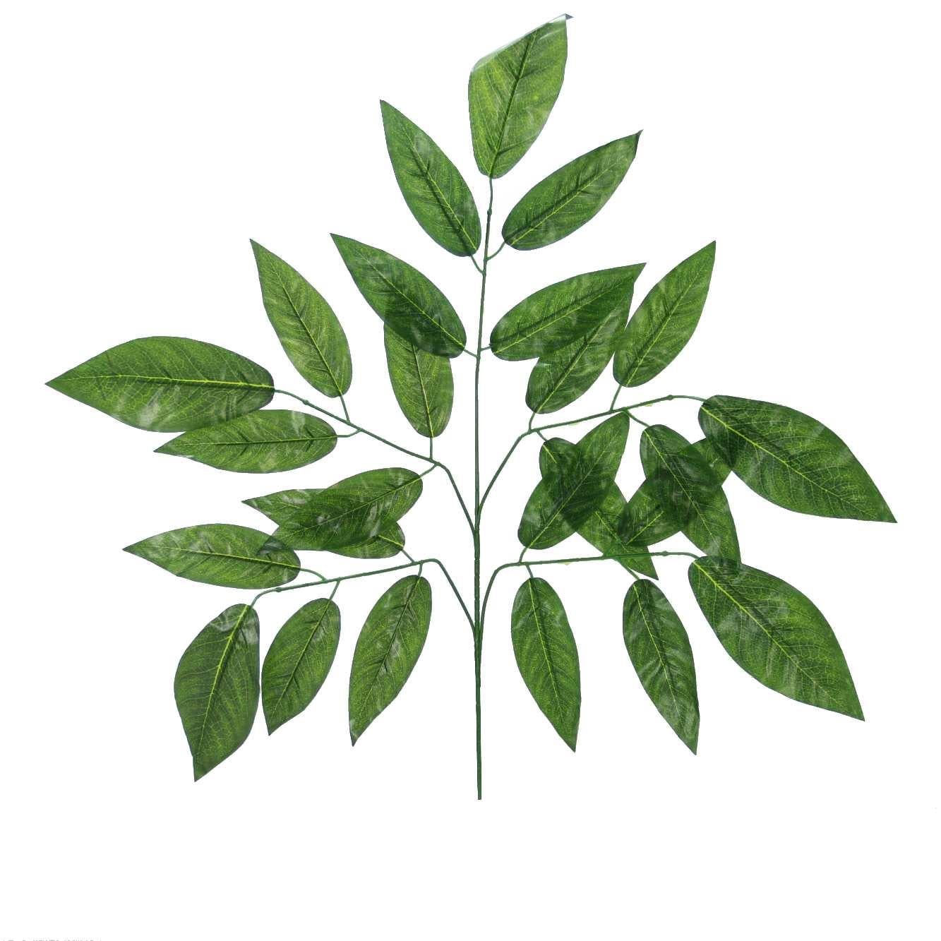 237*YEŞİL CEVİZ  YAPRAĞI DEMET BYL2023087 - Netodan Gelenler