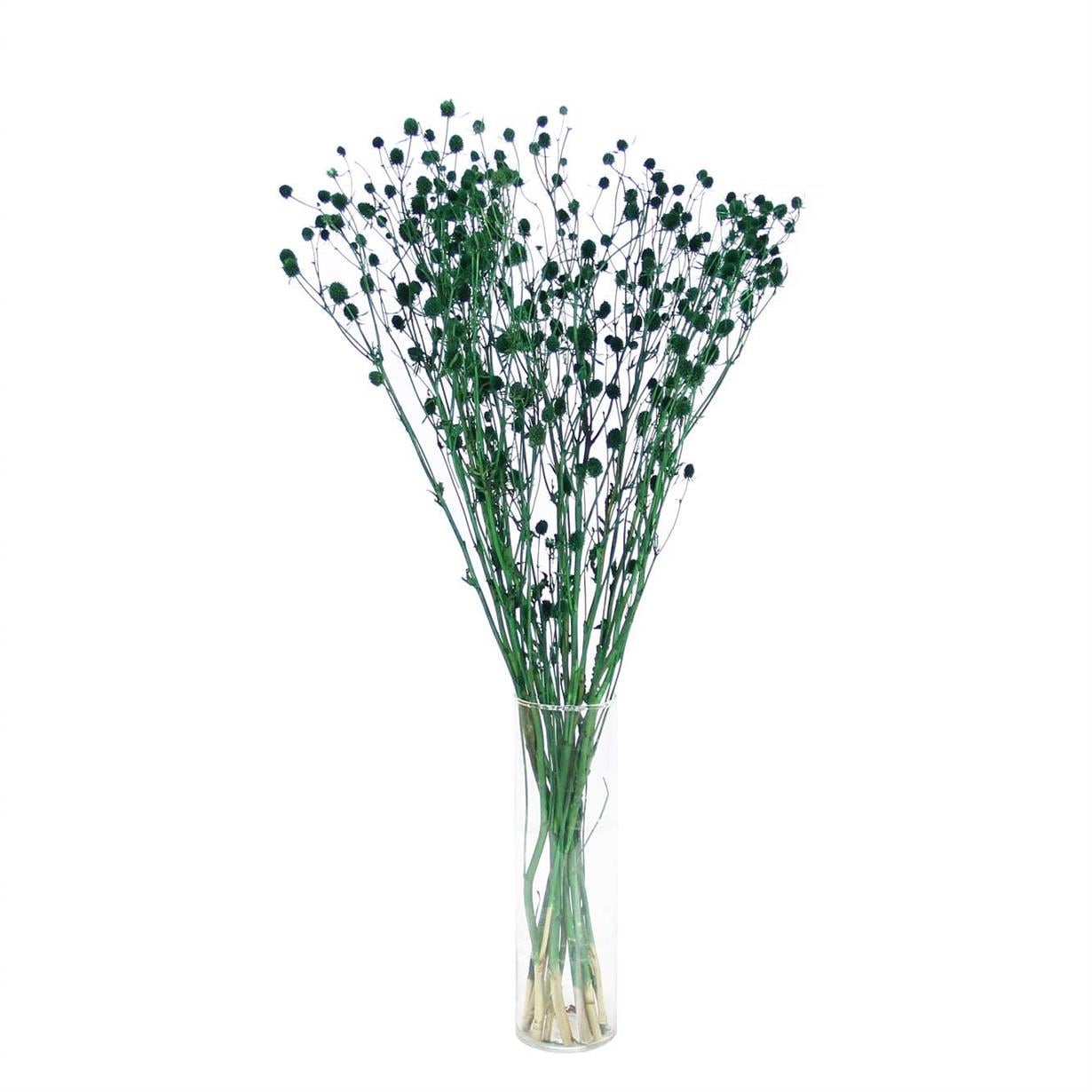 3333*ENGİNİYUM KURU ÇİÇEK YEŞİL - Netodan Gelenler