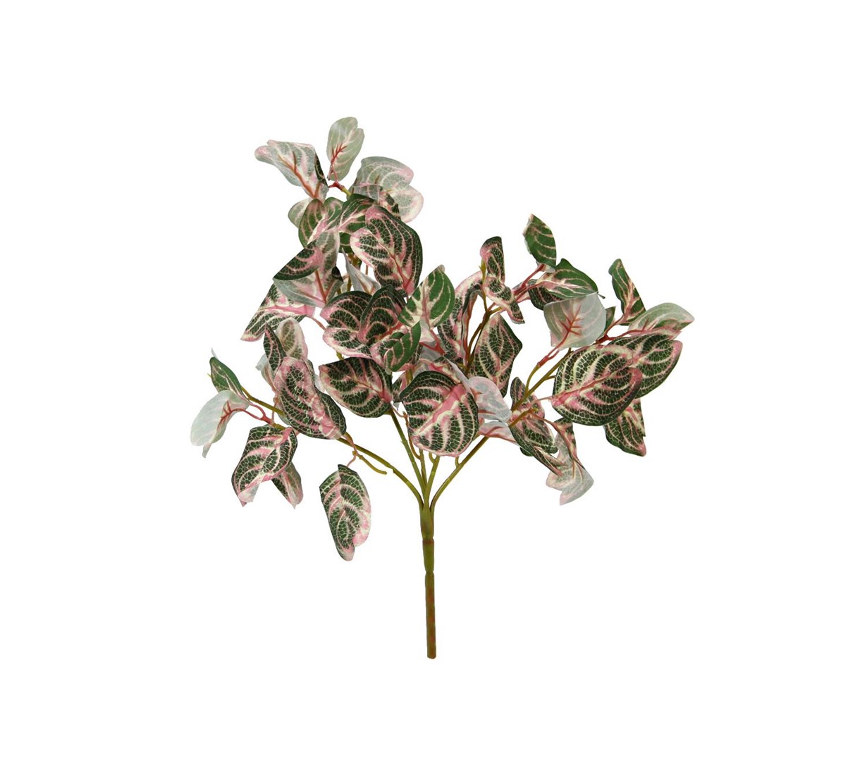 ELMA DALI DEMET BYL 2019134 - Netodan Gelenler