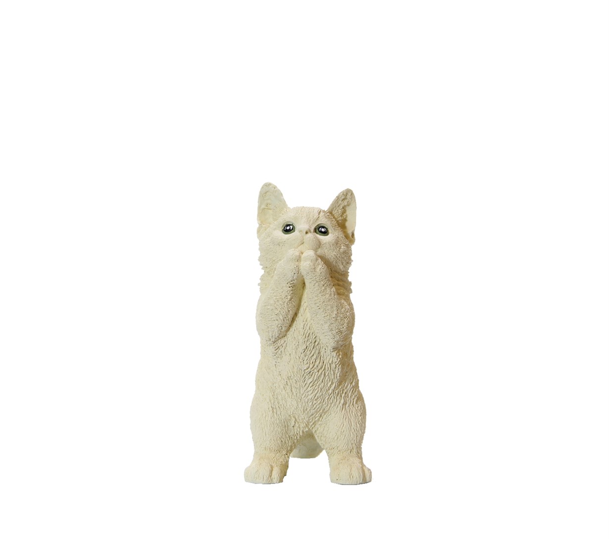 Kedi Biblo Model 3 | Özel Boyama Ürünler