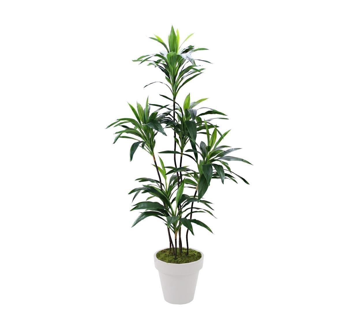 Saksısız Yapay Dracena Ağacı 150 cm - Yapay Egzotik Ağaçlar