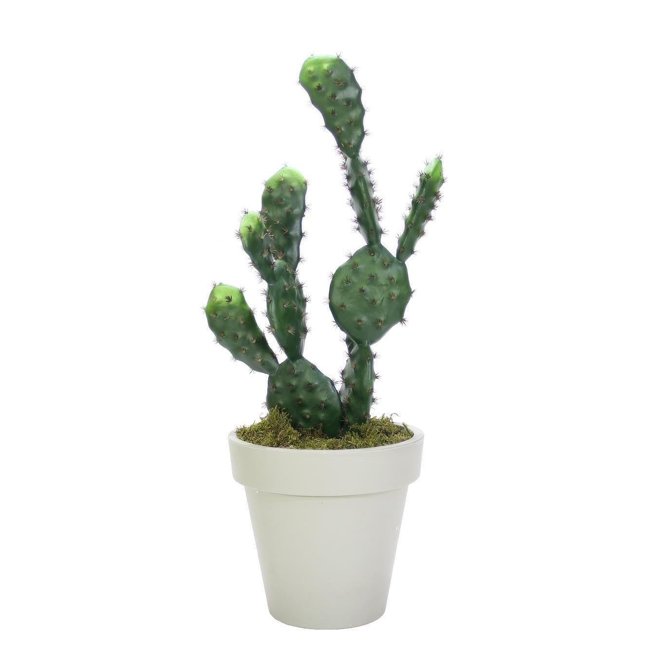 Saksısız Yapay Kaktüs 2li 70 cm - Yapay Kaktüsler