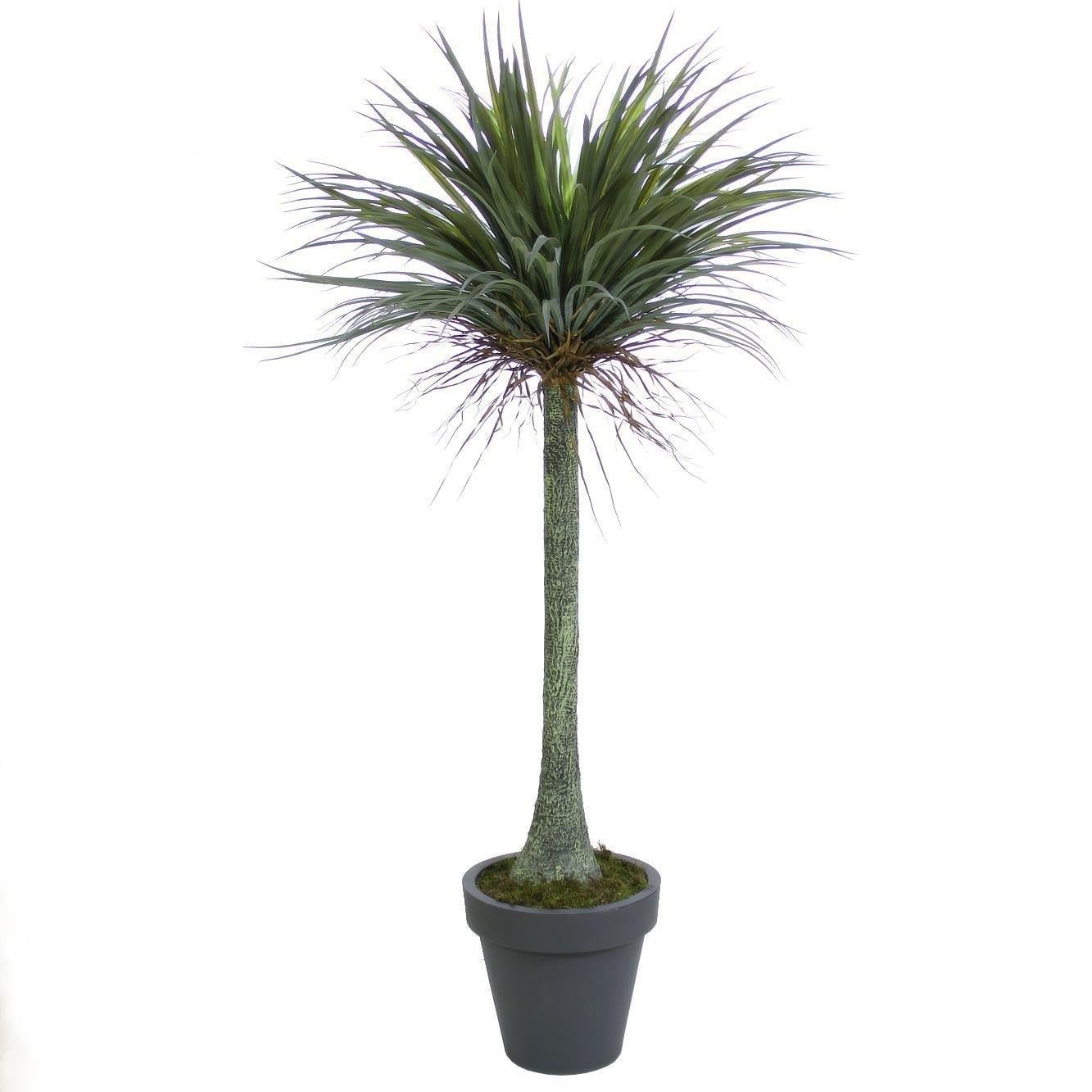 Saksısız Yapay Nolina Ağacı 185 cm - Yapay Egzotik Ağaçlar