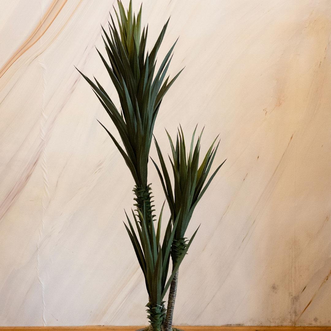 Saksısız Yapay Sisal Ağacı 160 cm - Yapay Egzotik Ağaçlar