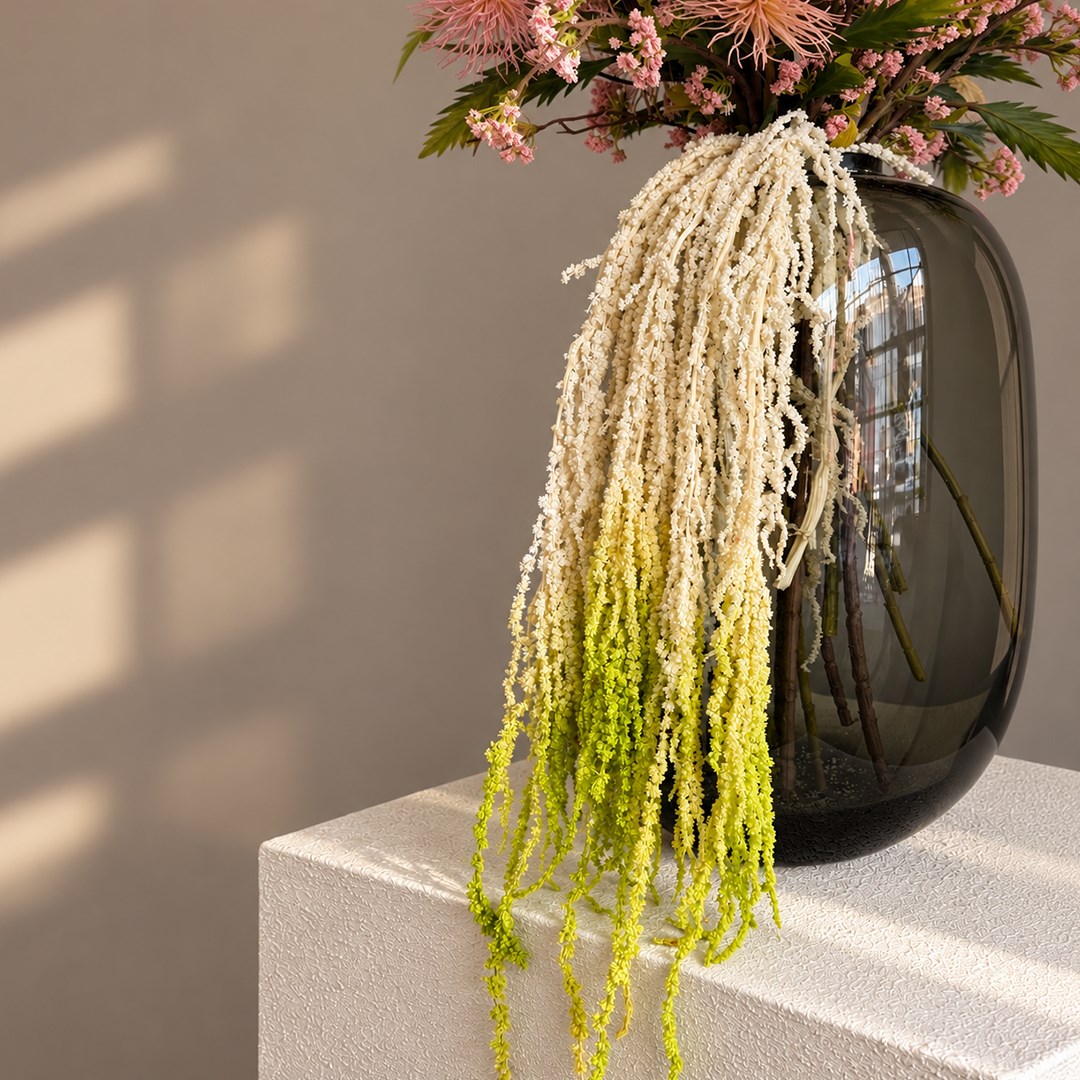 Şoklanmış Amarantus (Amaranthus) Krem Yeşil 60 cm - Şoklanmış Çiçek