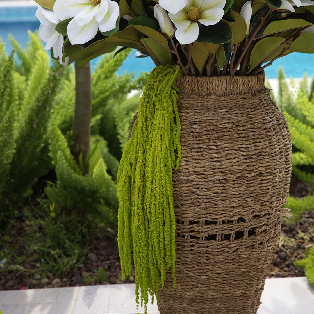 Şoklanmış Amarantus (Amaranthus) Yeşil 60 cm - Şoklanmış Çiçek