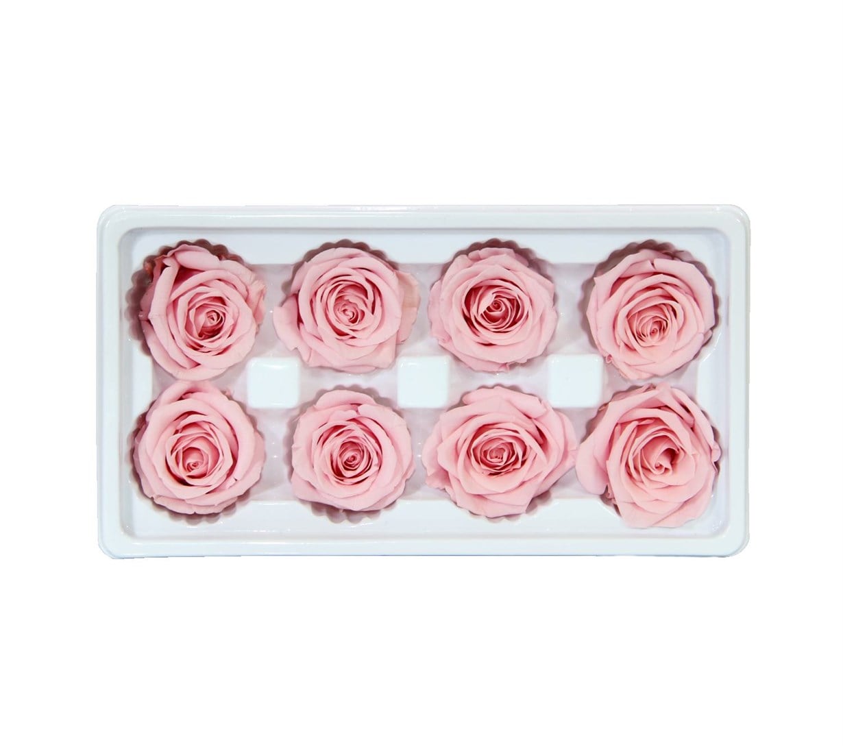 SOLMAYAN GÜL PEMBE 8 Lİ ----NET FİYATLI-----             ND* - Netodan Gelenler