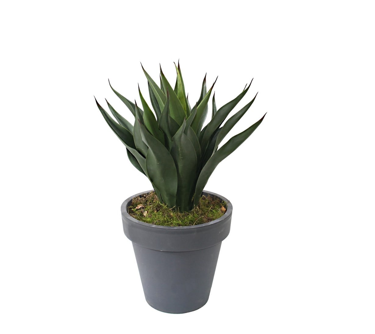 Yapay Agave Ağacı 60 cm