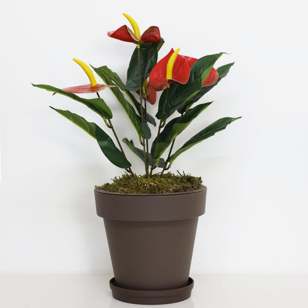 Yapay Antoryum Demeti Kırmızı 45 cm