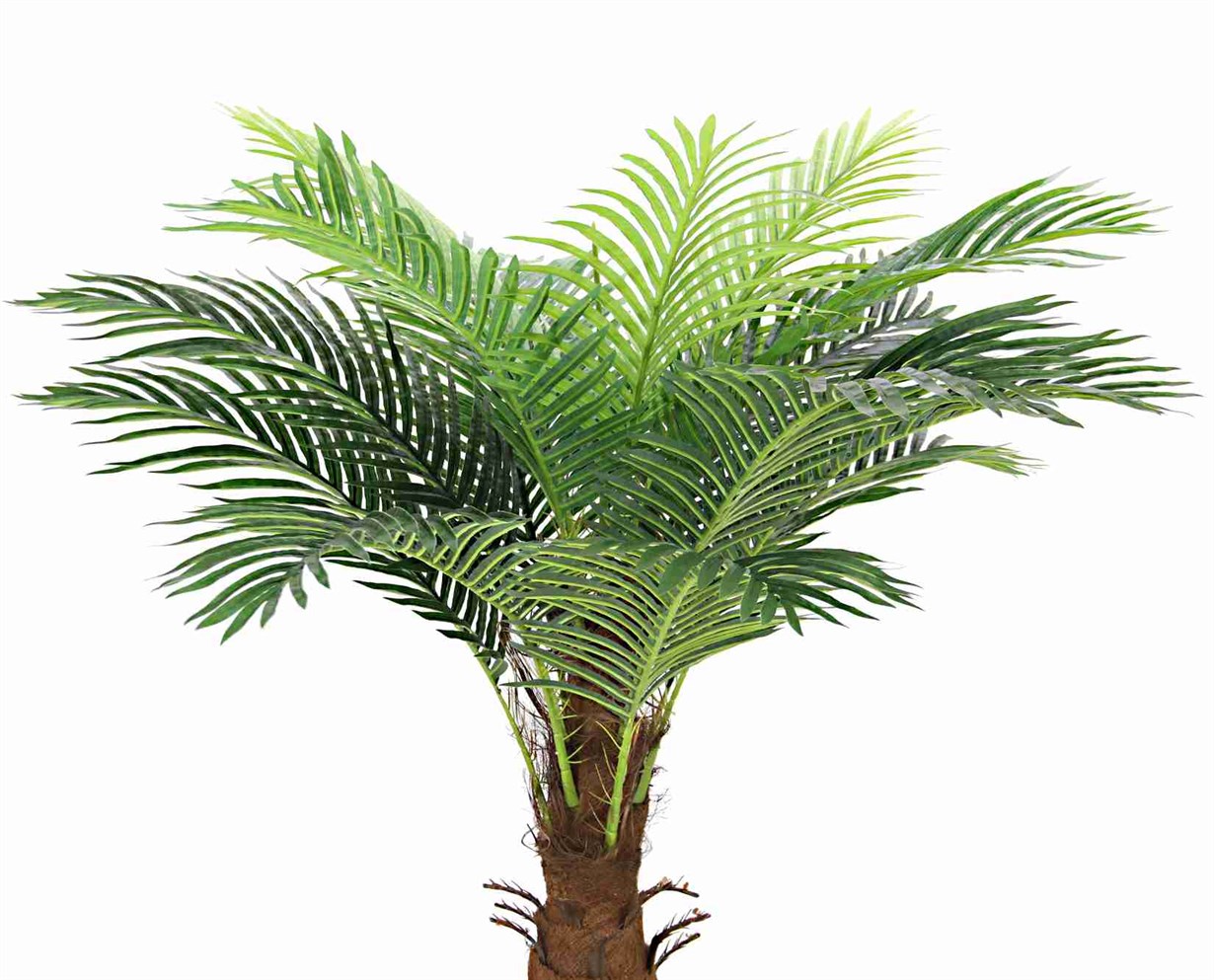 Yapay Areka Palmiye Ağacı 180 cm