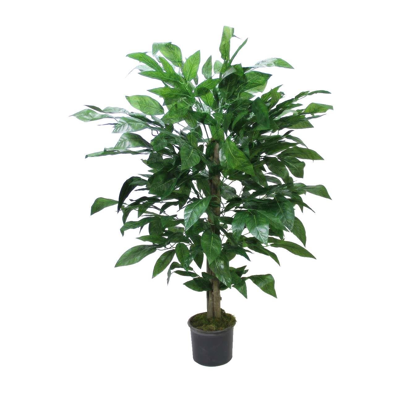 Yapay Ceviz Ağacı 130 cm - Yapay Yapraklı Ağaçlar