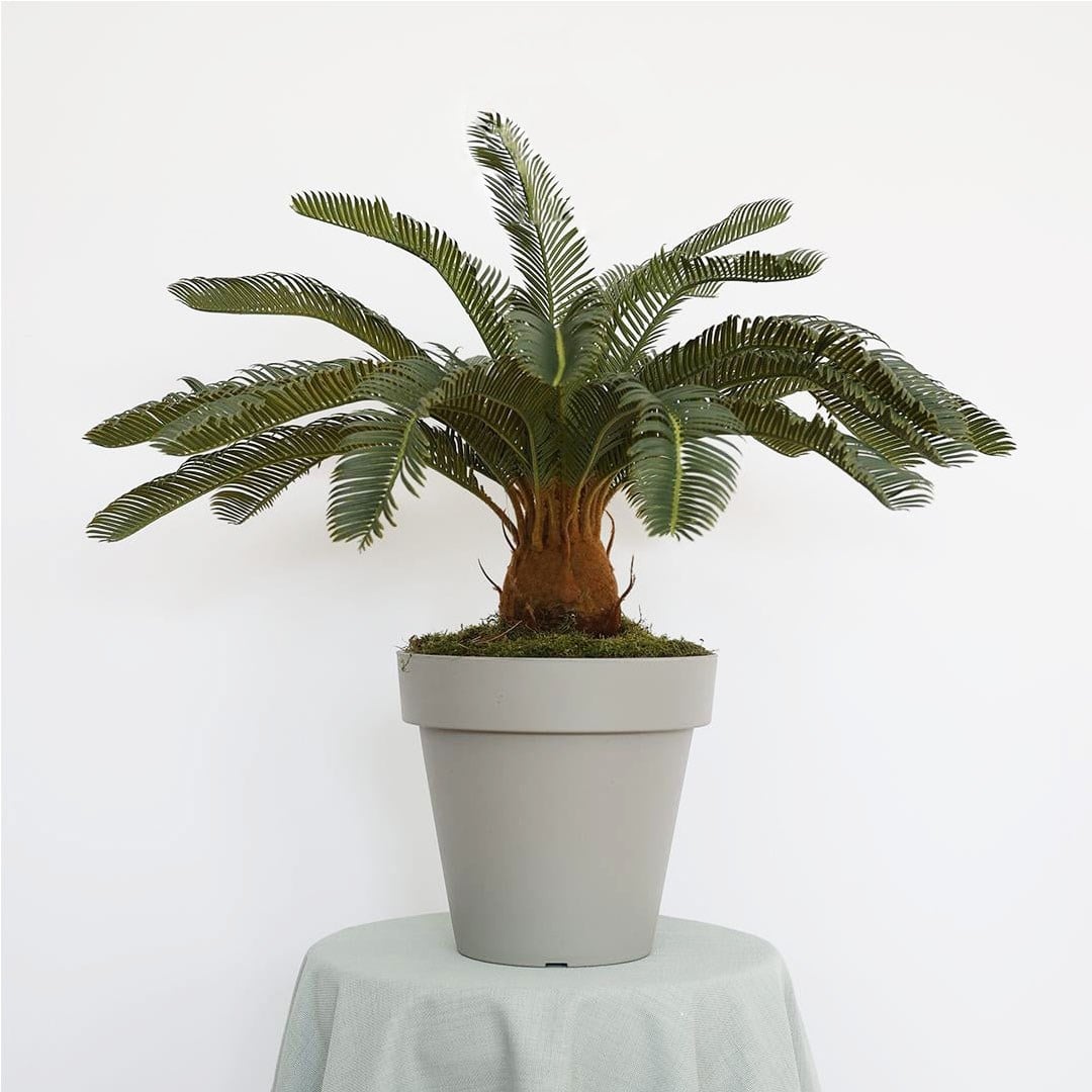 Yapay Cycas Ağaç 80 cm