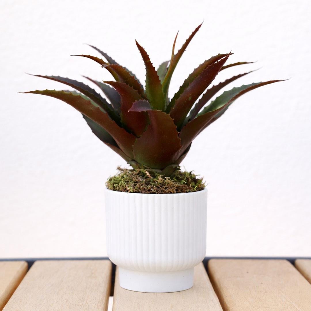 Yapay Dikenli Sisal Sukulent Kızıl Yeşil 26 cm