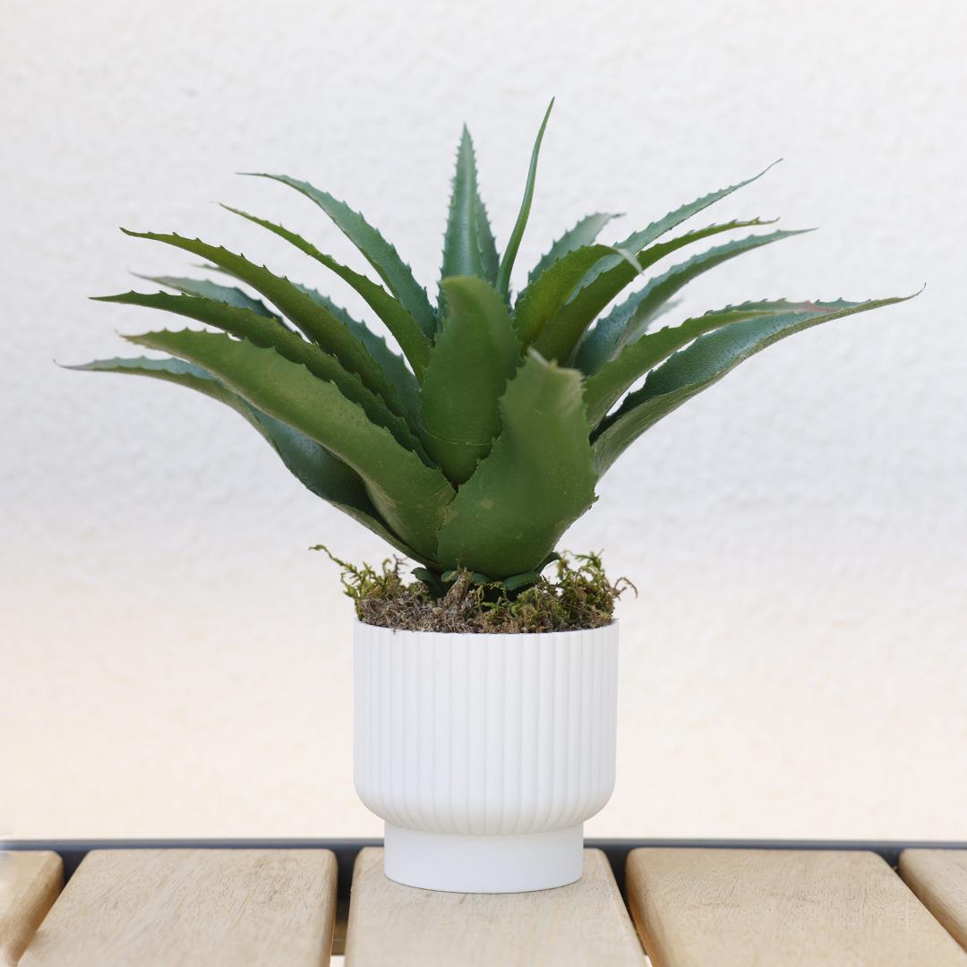 Yapay Dikenli Sisal Sukulent Yeşil 26 cm