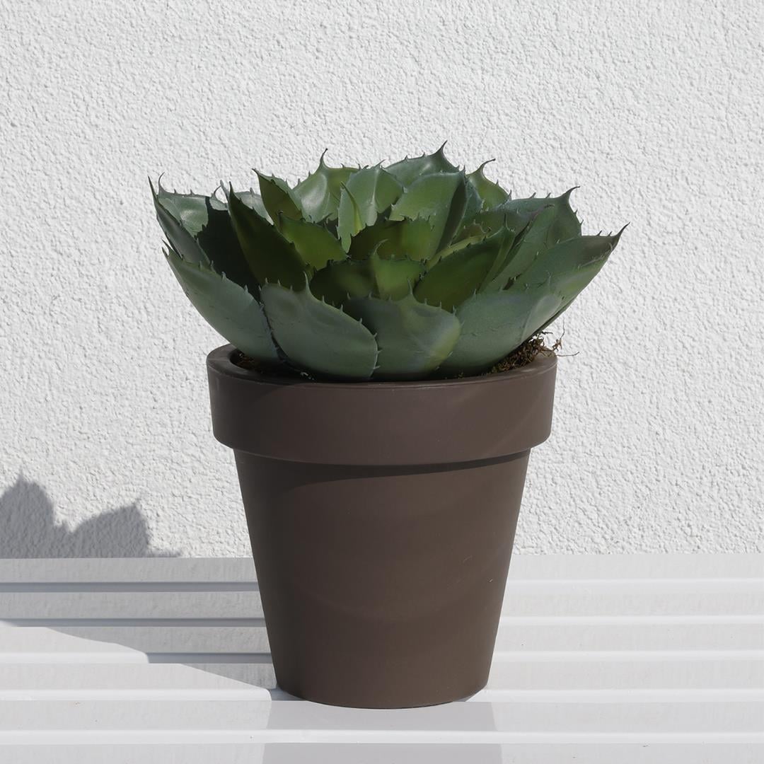 Yapay Dikenli Sukulent 25 cm - Sukulentler ve Kaktüsler