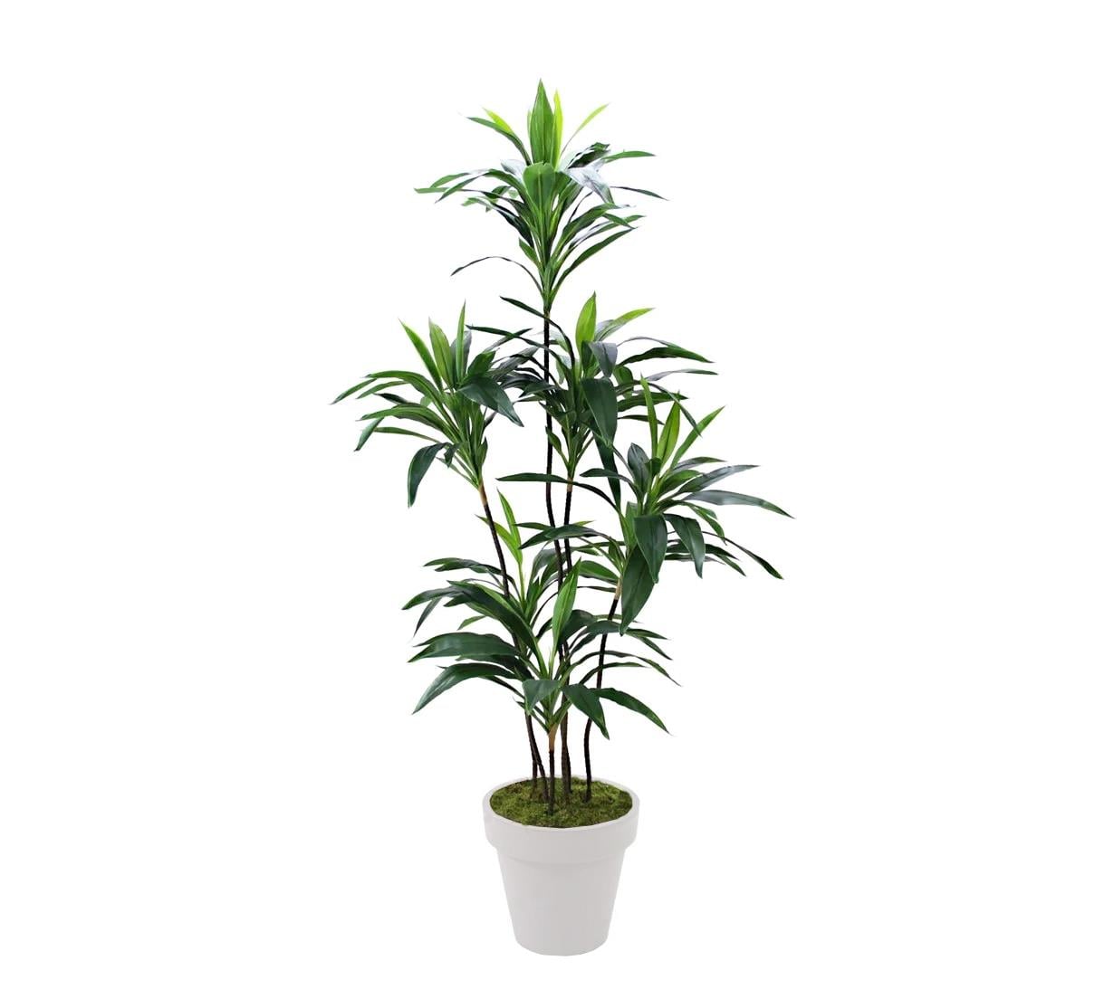 Yapay Dracena Ağacı 155 cm - Yapay Egzotik Ağaçlar