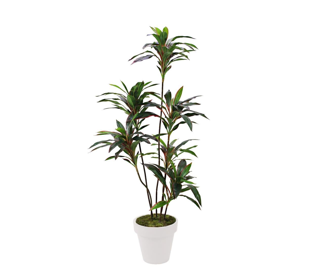 Yapay Drasena Ağacı Kırmızı 150 cm - Yapay Egzotik Ağaçlar