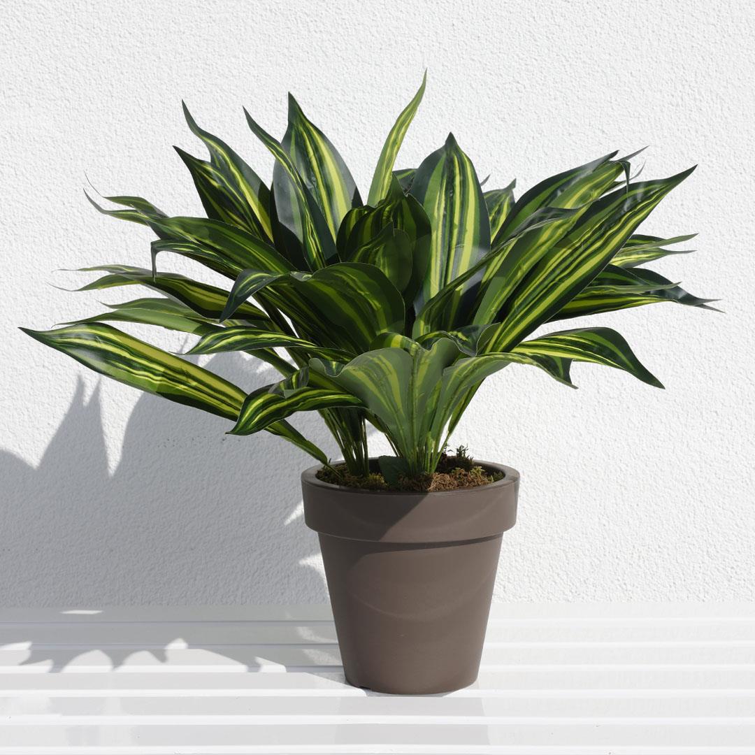 Yapay Drasena (Dracena) Demeti 50 cm - Yapay Yeşillik Demetleri