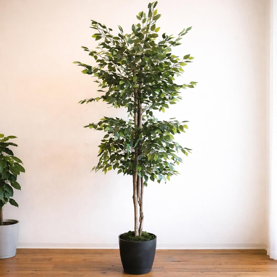 Yapay Ficus Benjamin Ağacı 170 cm - Yapay Yapraklı Ağaçlar