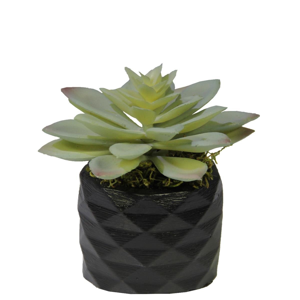 Yapay Mini Etli Echeveria Sukulent Açık Yeşil 12 cm Saksılı - Sukulentler ve Kaktüsler