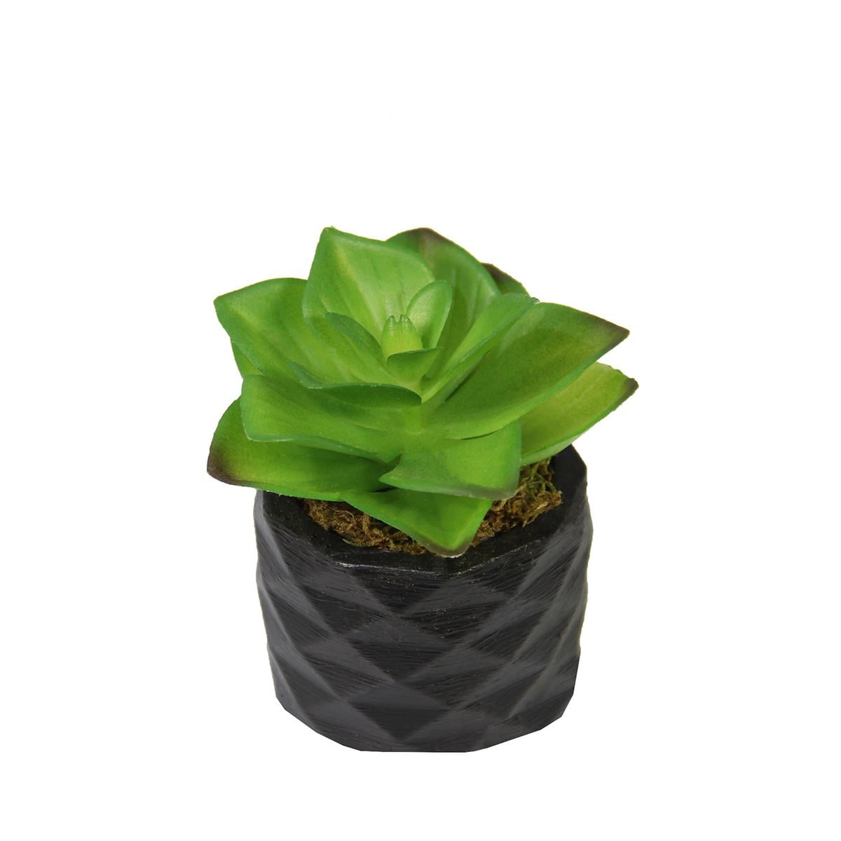 Yapay Mini Etli Echeveria Sukulent Açık Yeşil 8 cm Saksılı - Sukulentler ve Kaktüsler