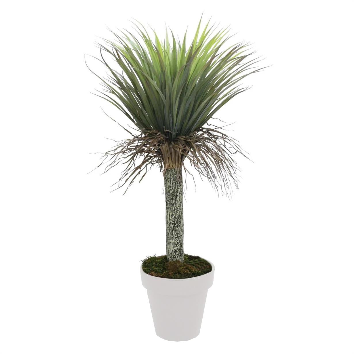 Yapay Nolina Ağacı 115 cm